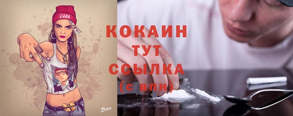 прущий лед Арсеньев