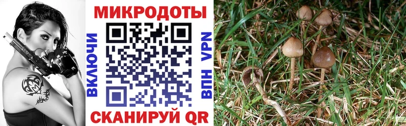 Галлюциногенные грибы GOLDEN TEACHER  Сольцы 