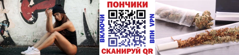 Бошки марихуана конопля  hydra   Сольцы 